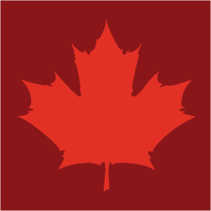 New Canadian Media
