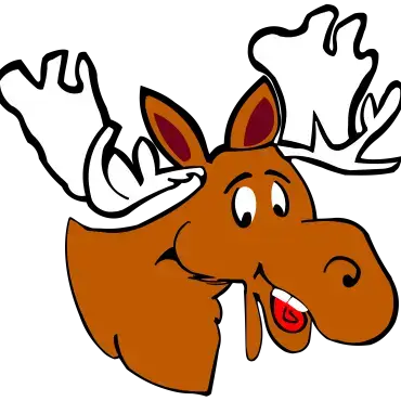 100.1 Moose FM