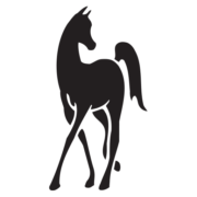 Arabian Horse World