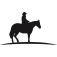 theoutlawpartners.com