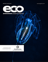Ecomagazine