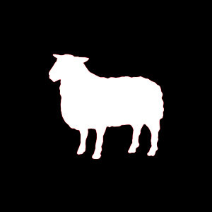 Shepherd Express