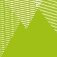 Mountainbike Plus