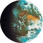 The Daily World