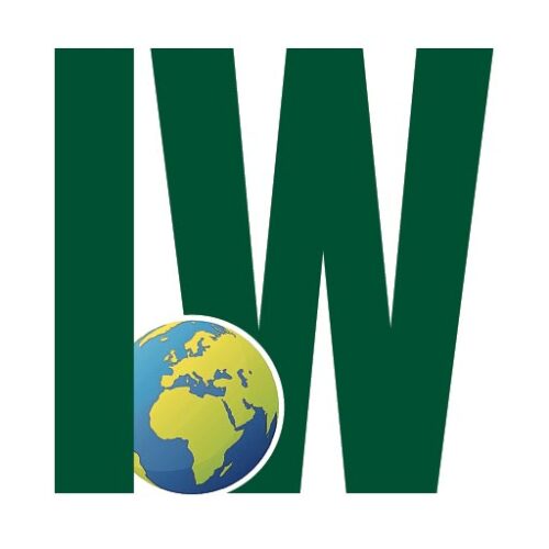 theirishworld.com